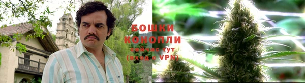 ешки Алексеевка
