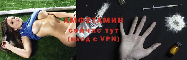 мет Алексин