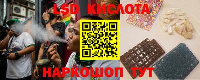 стаф Кингисепп