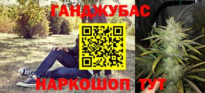 стаф Кингисепп