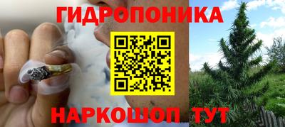 дживик Кимры
