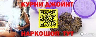 стаф Кингисепп