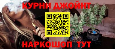 стаф Кингисепп