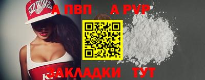 стаф Кингисепп