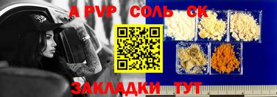 стаф Кингисепп