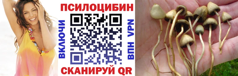 Галлюциногенные грибы мухоморы  Тюмень 