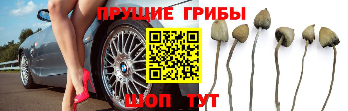Псилоцибиновые грибы мицелий  Вход с VPN  Тюмень 